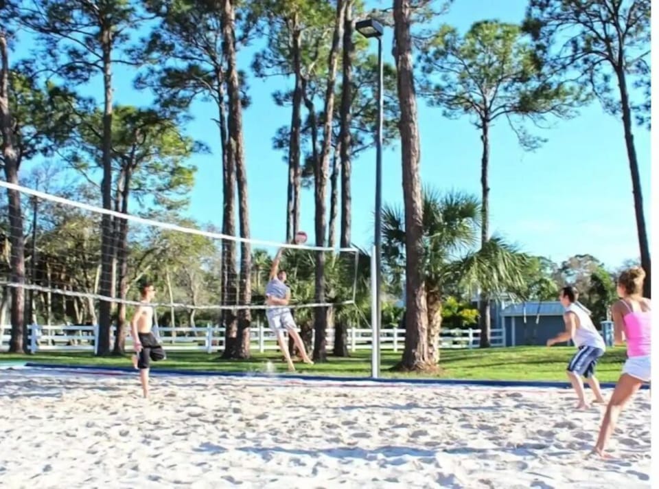 Sport court