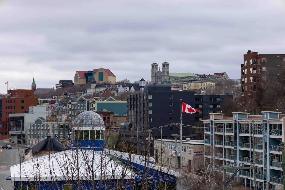 Stunning city views from every angle - come see why we love St. John's! 😍🏙️