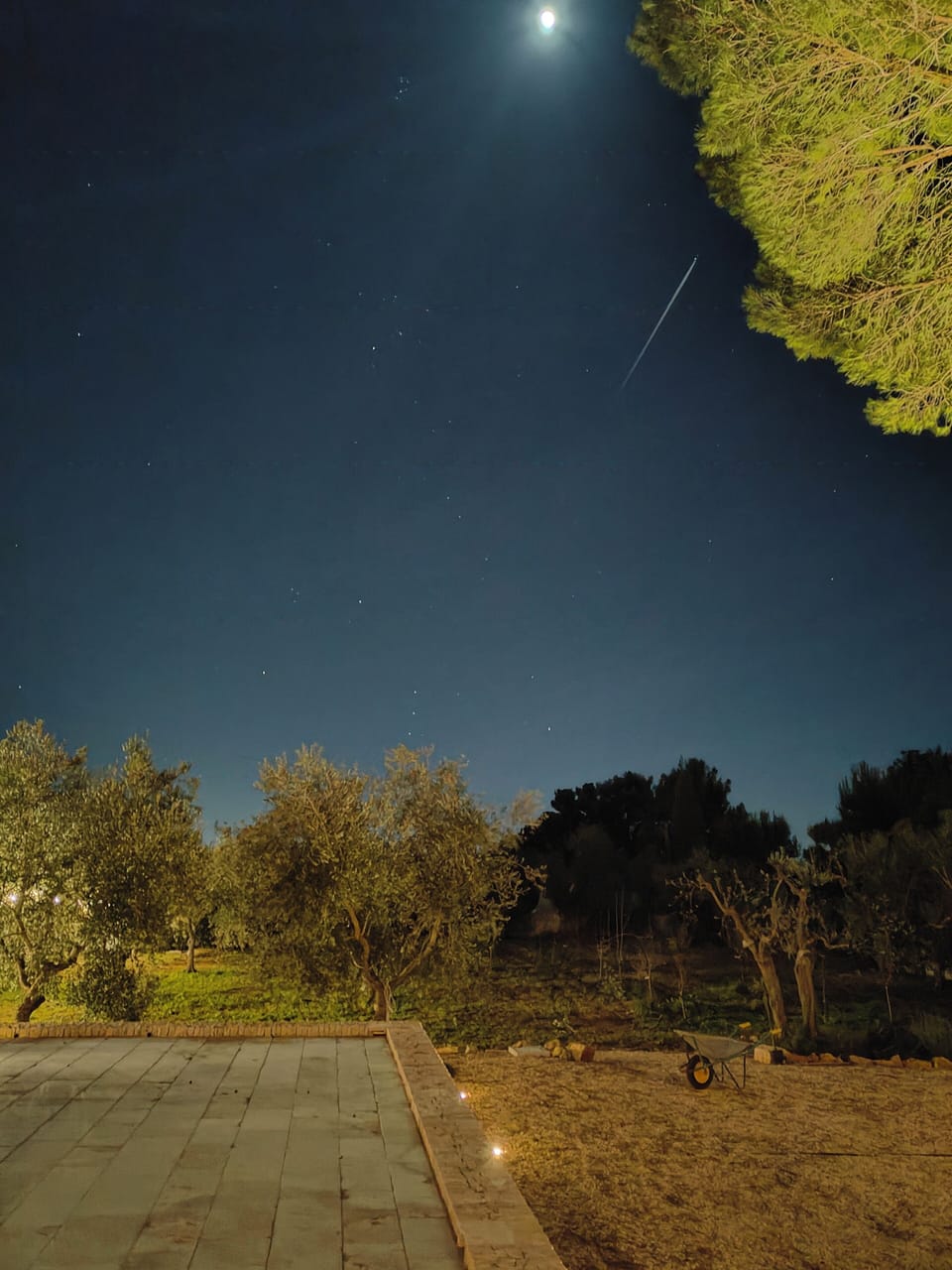 Night view