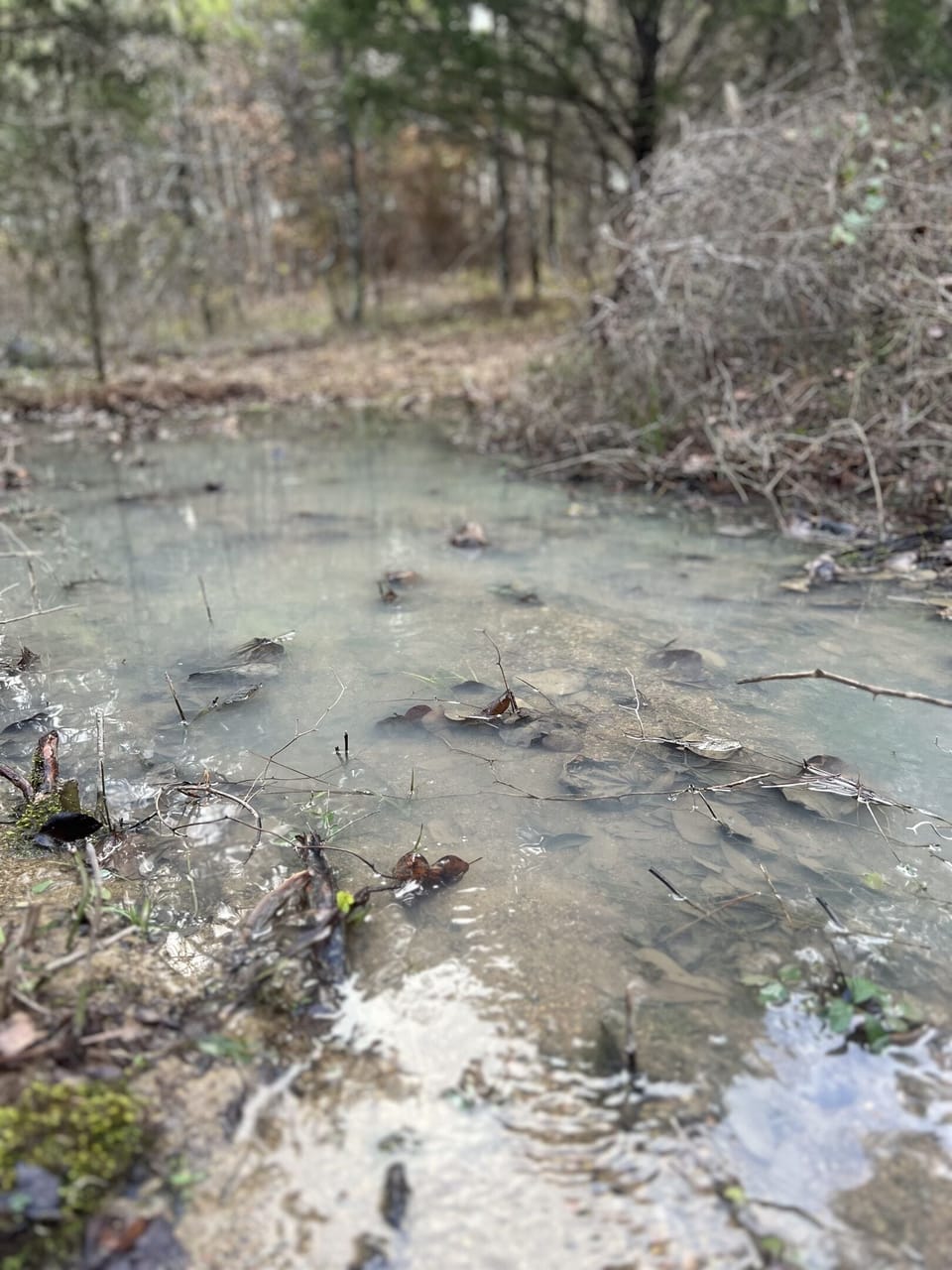Located on a seasonal creek