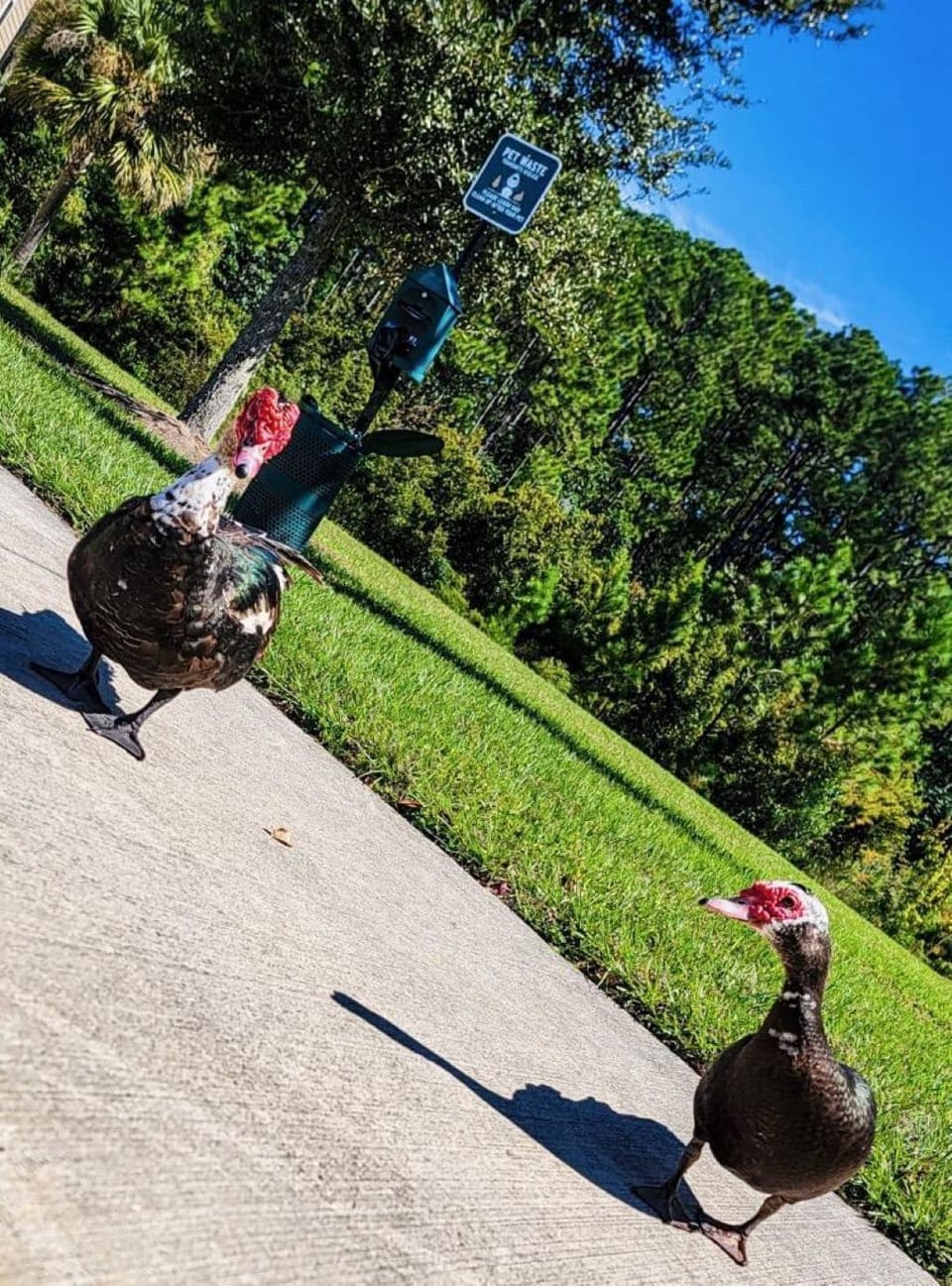 Embracing the simple joys of life 
