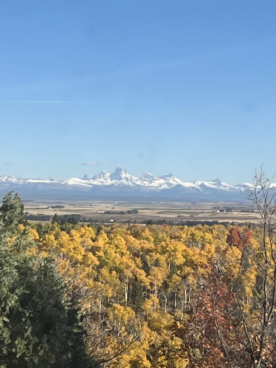 Loft view of Tetons
