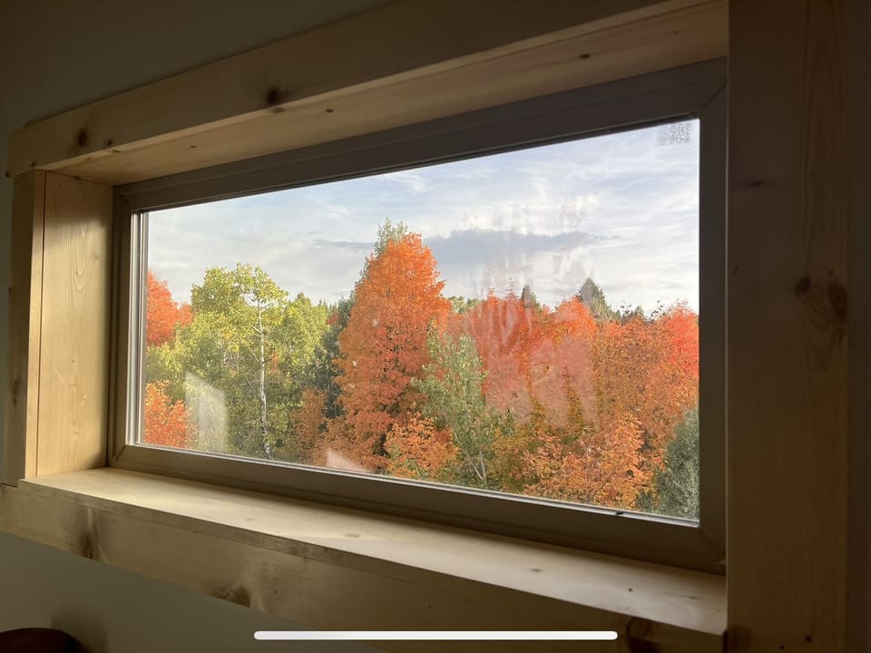 Fall colors