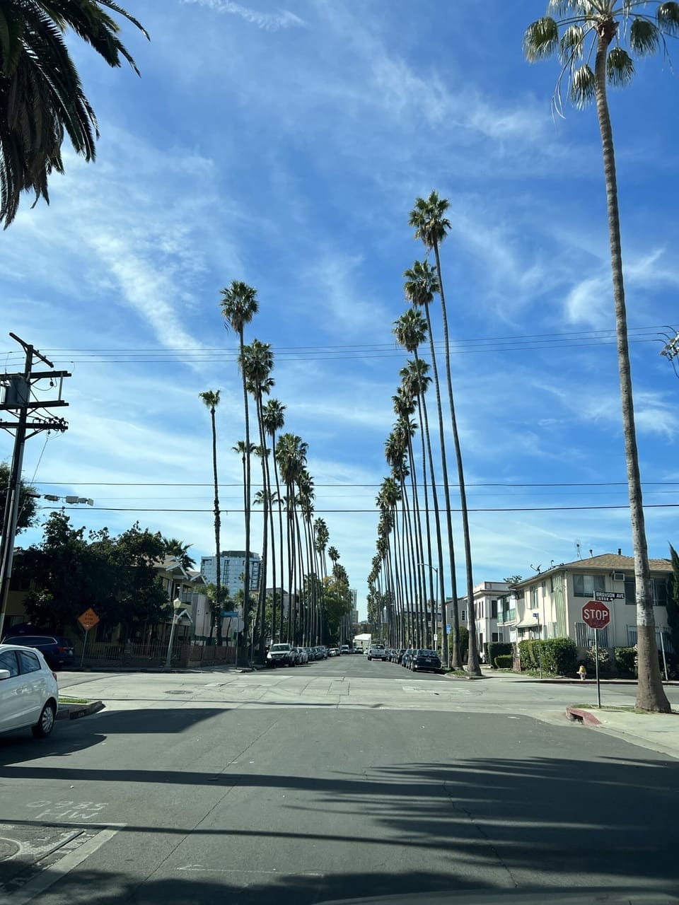 Miscellaneous
