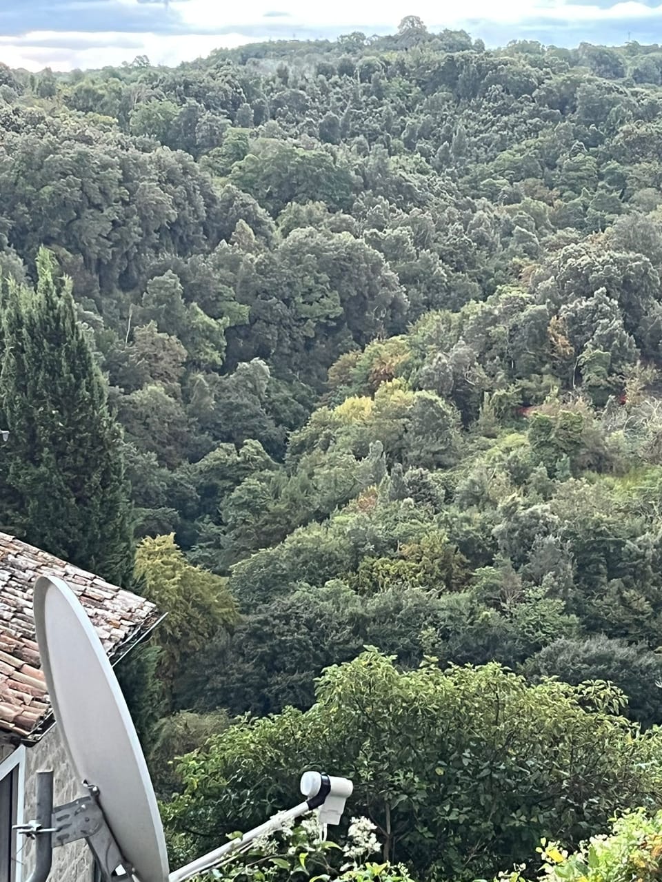 View from property