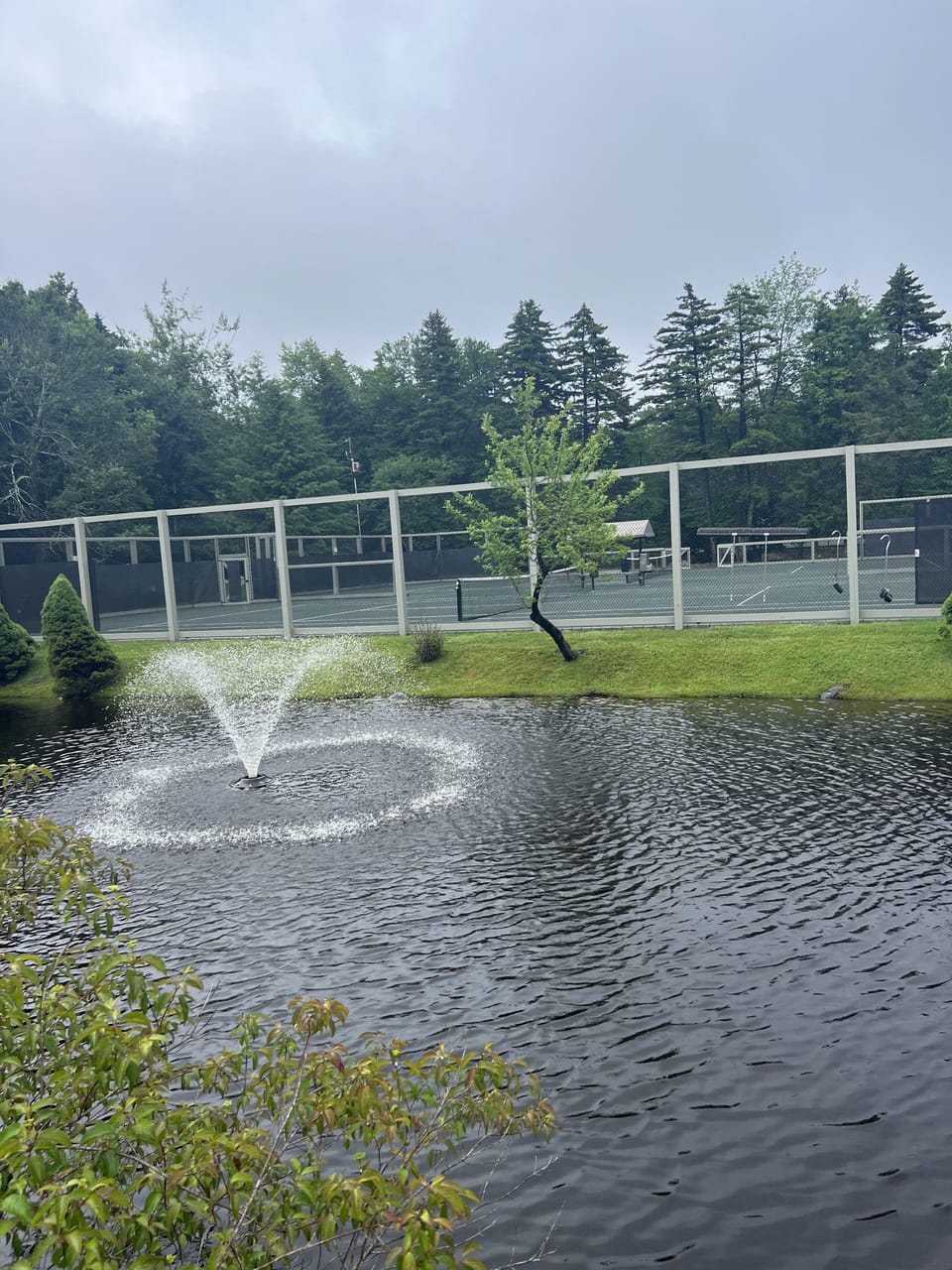 Sport court