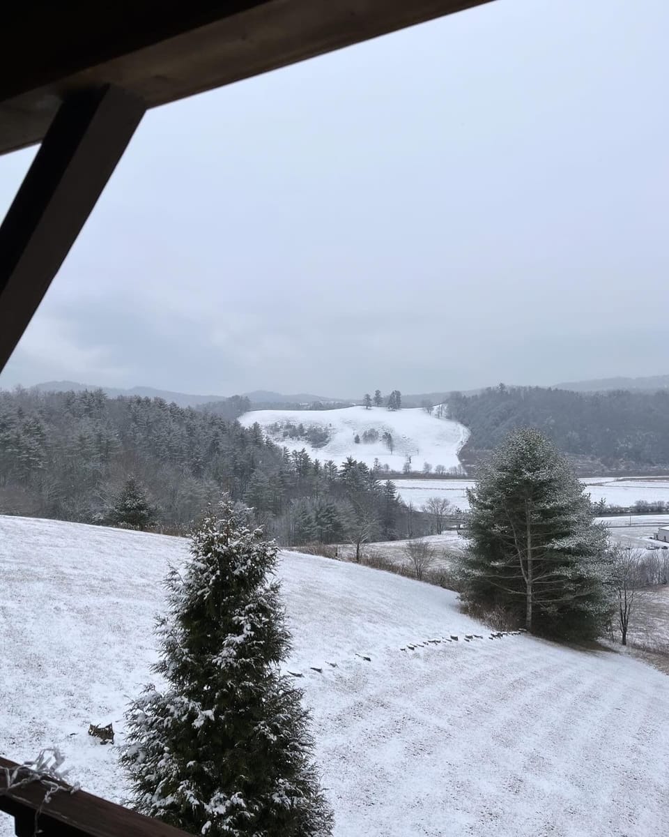 View from property