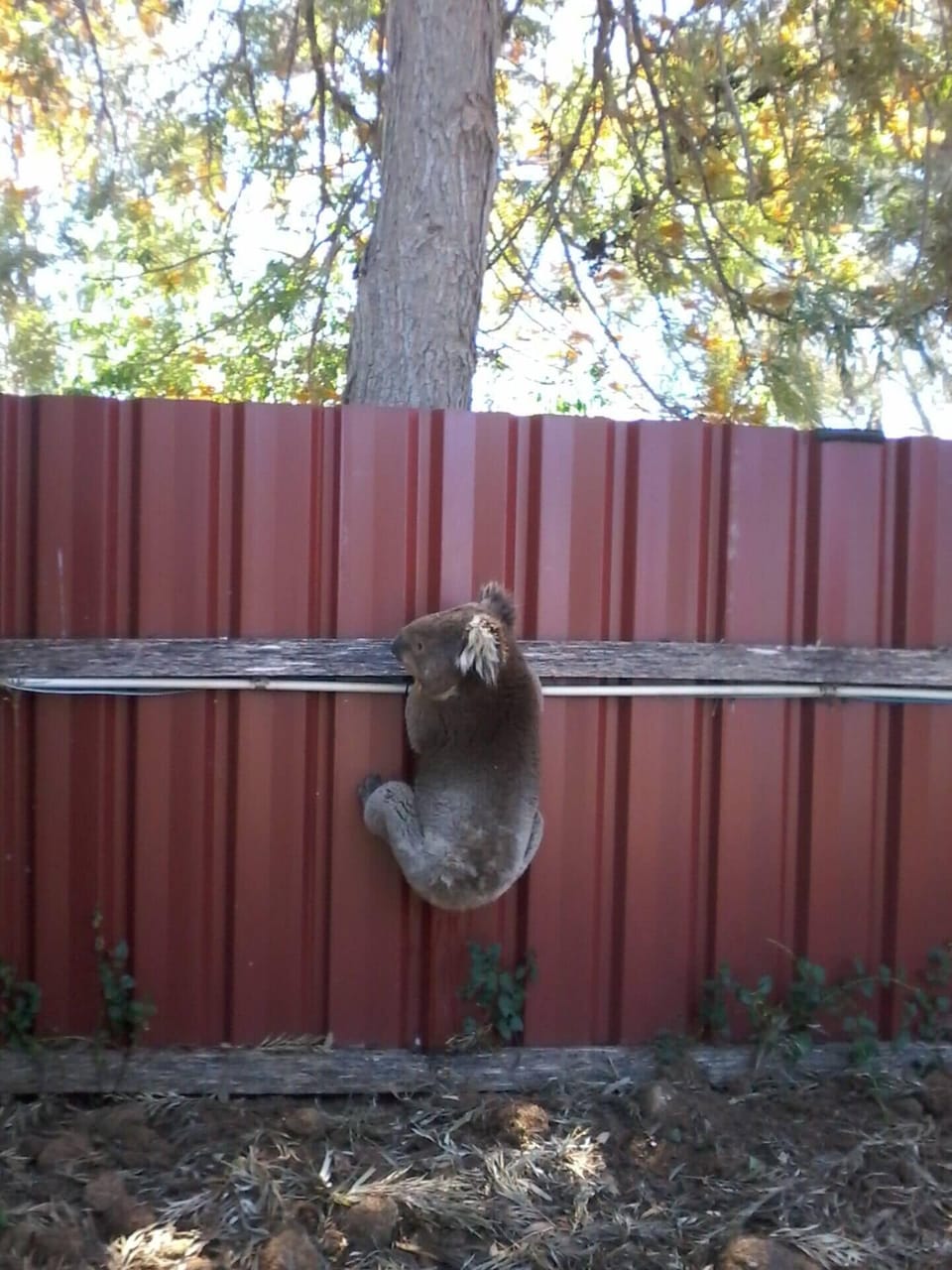 Property grounds