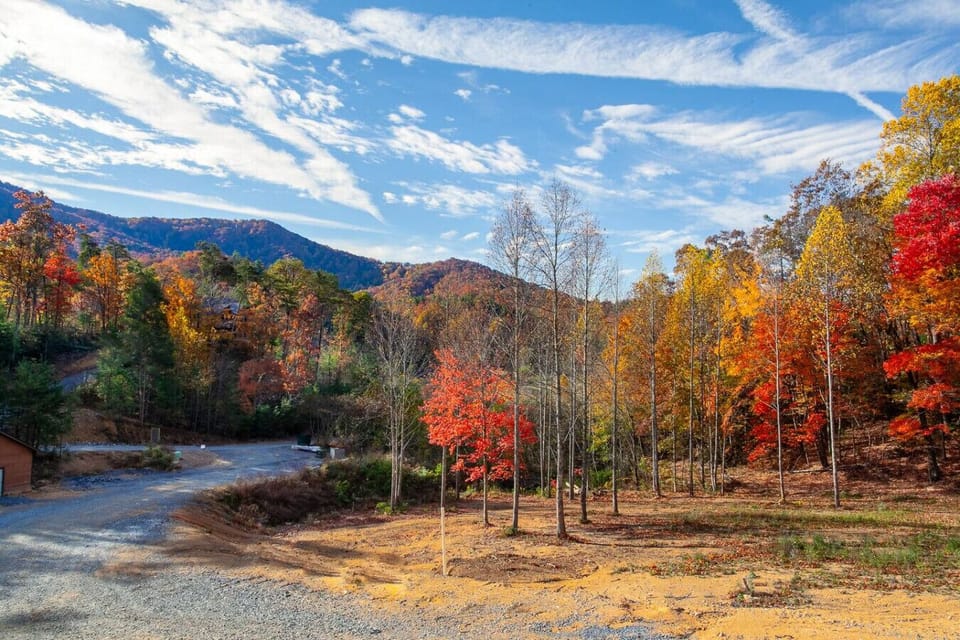 Beautiful view of the mountains and trees from the cabin taken end of October!
