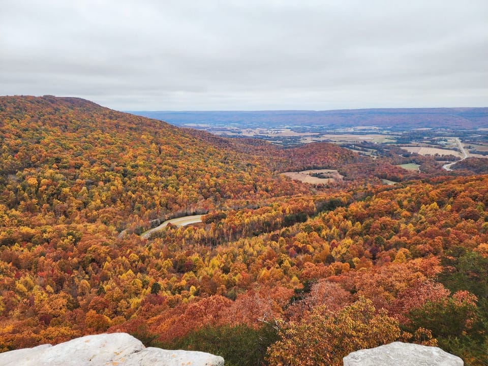 Peak fall colors 