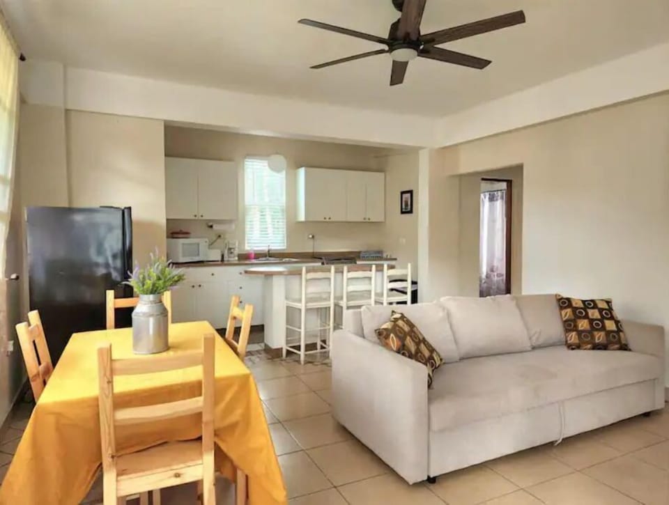 Unit A: Common area with kitchen, dining area, sleeping sofa and TV