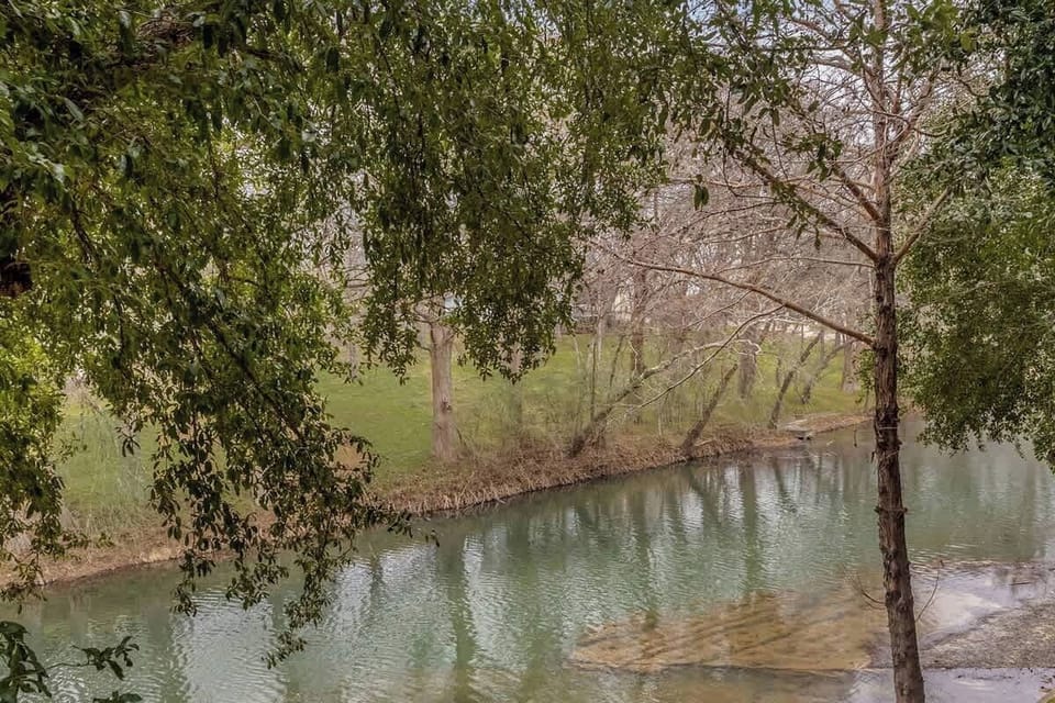 Peaceful riverbend view with tall trees and calm water—ideal for nature walks, meditation, or photography.