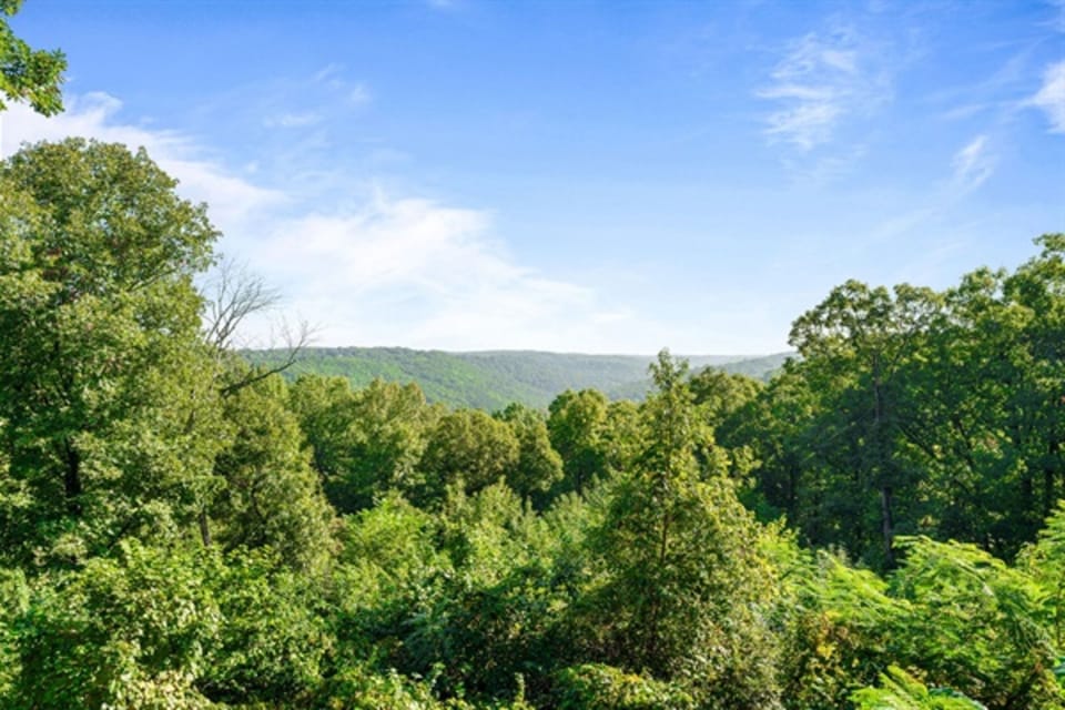 Looking towards Big Cedar Lodge