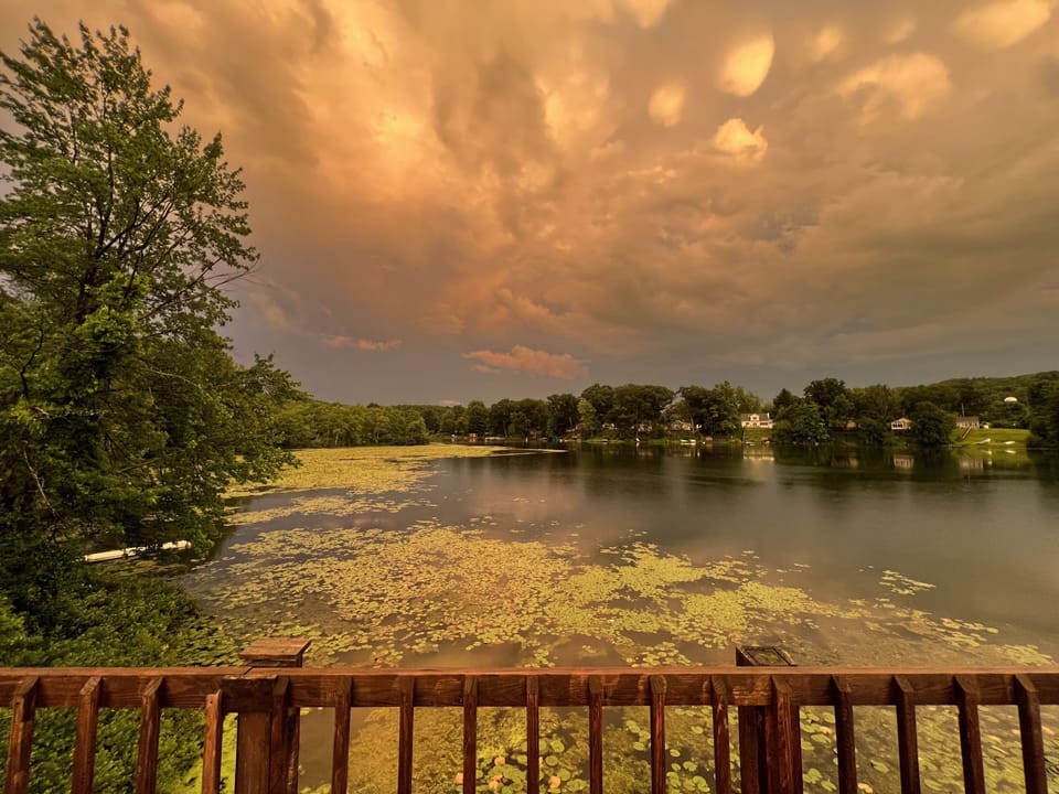 View from property