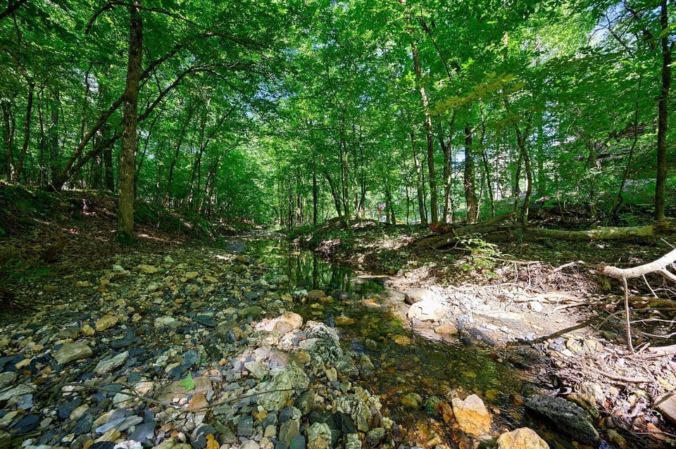 The creek!