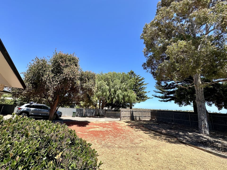 Front Yard