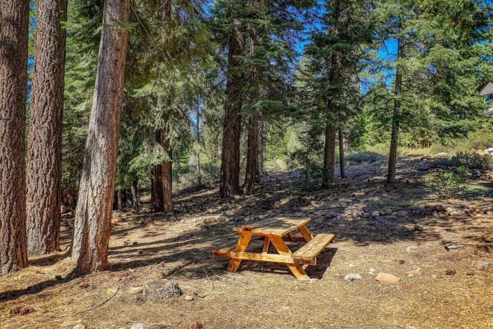 Enjoy your meals in the great outdoors at this conveniently-located picnic bench.