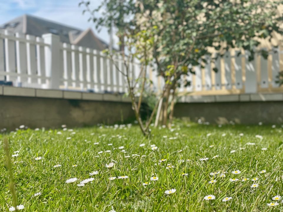 3d8be0d1-4408-4f68-8d2b-10661935285c