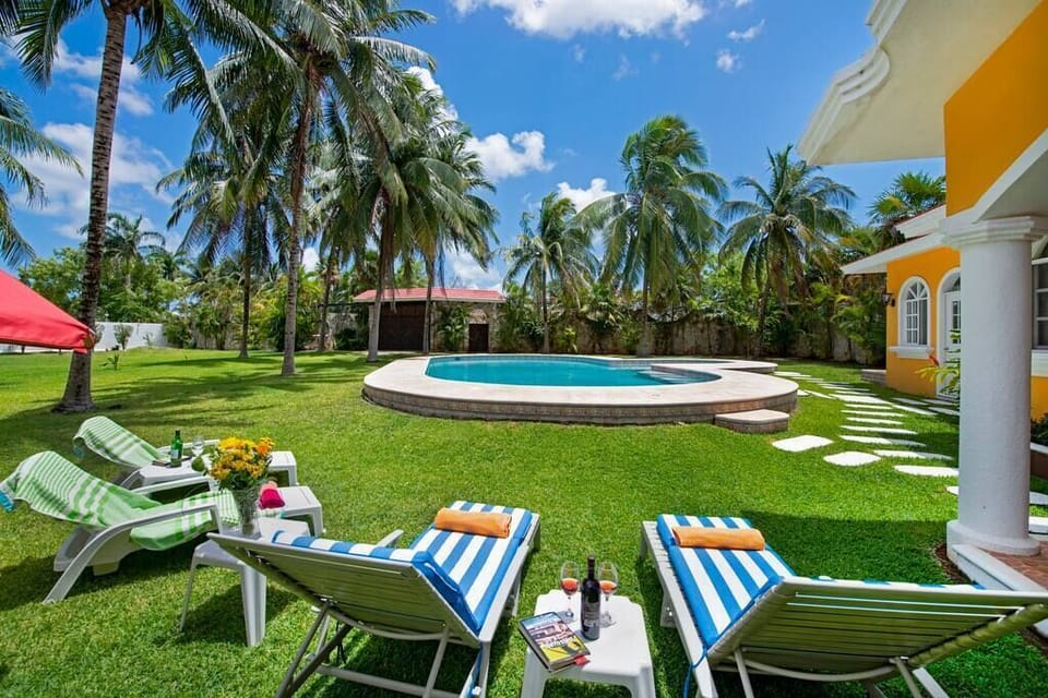 Pool chairs and garden