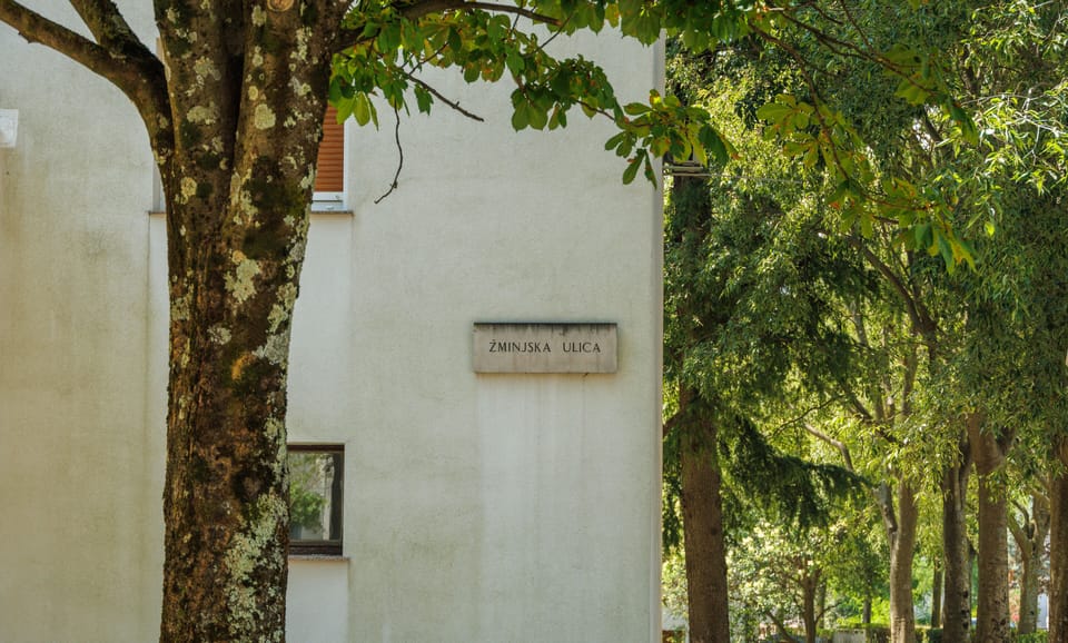 Image 13