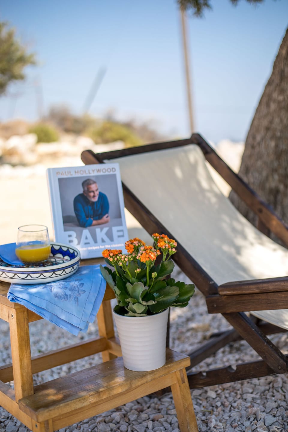 enjoy your outdoor space under the olive tree overlooking the sea view on front