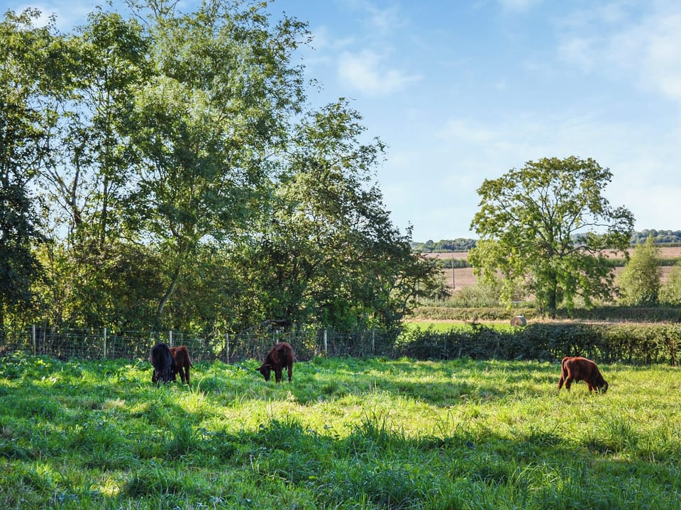 Surrounding area | The Old Greenhouse - Panton House Farm, Wragby