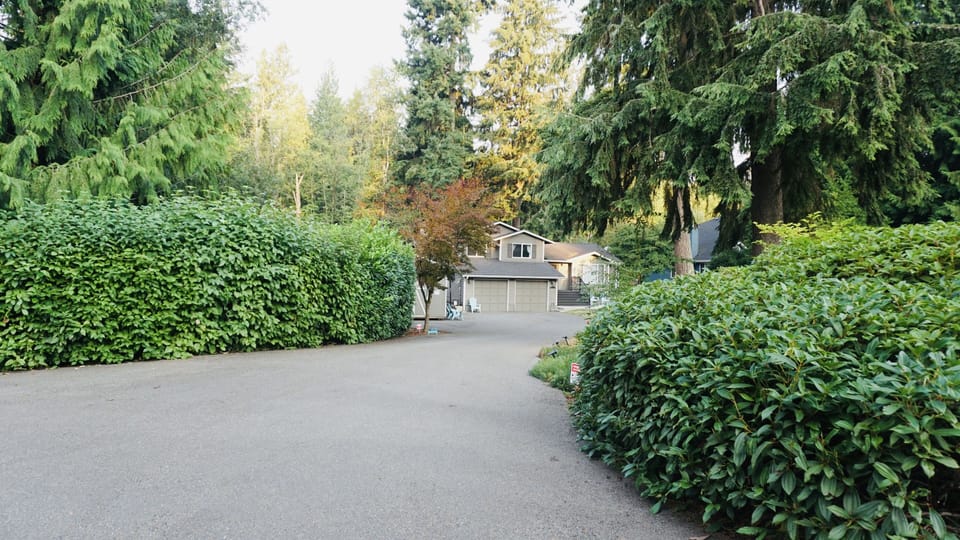  View from the front of the driveway to the hideaway