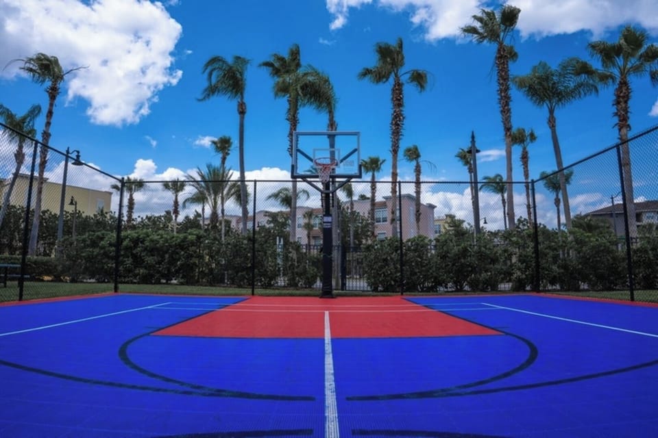 Basket court