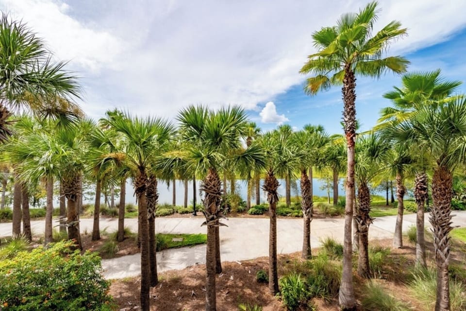Walking trail