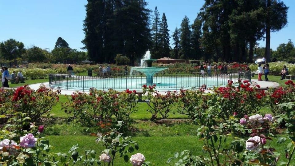 San Jose Municipal Rose Garden