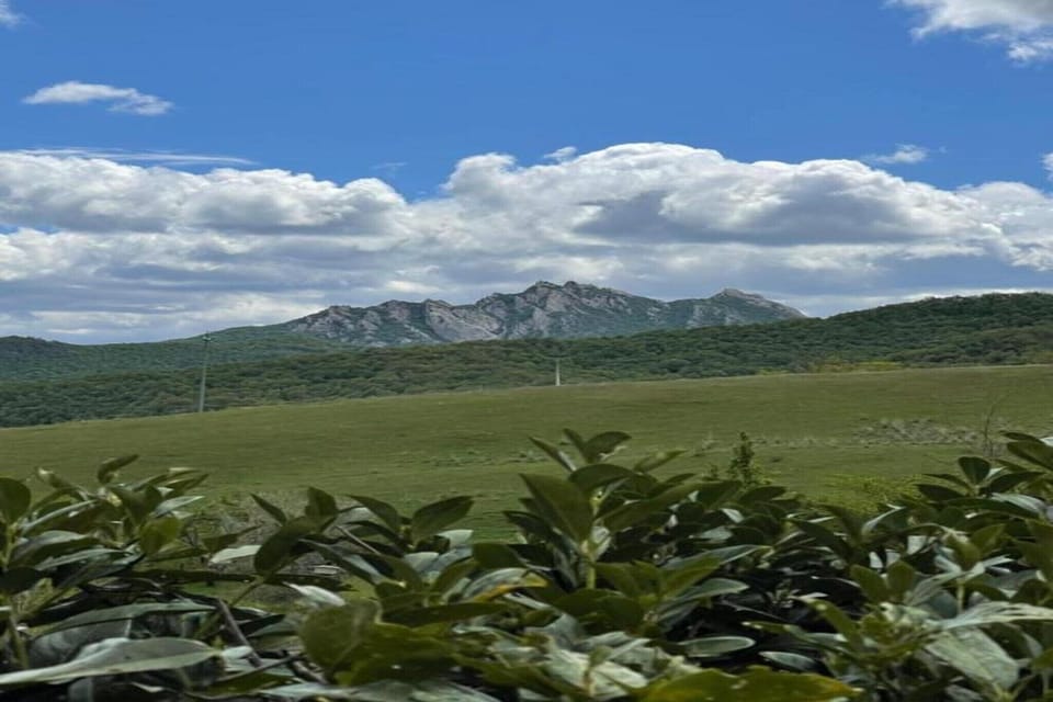 Region [summer] (>5 km)