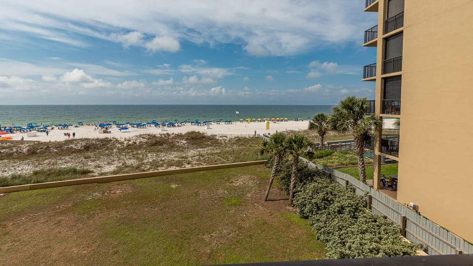 Enjoy a serene view of the beach with vibrant umbrellas and golden sand, framed by swaying palm trees and lush greenery