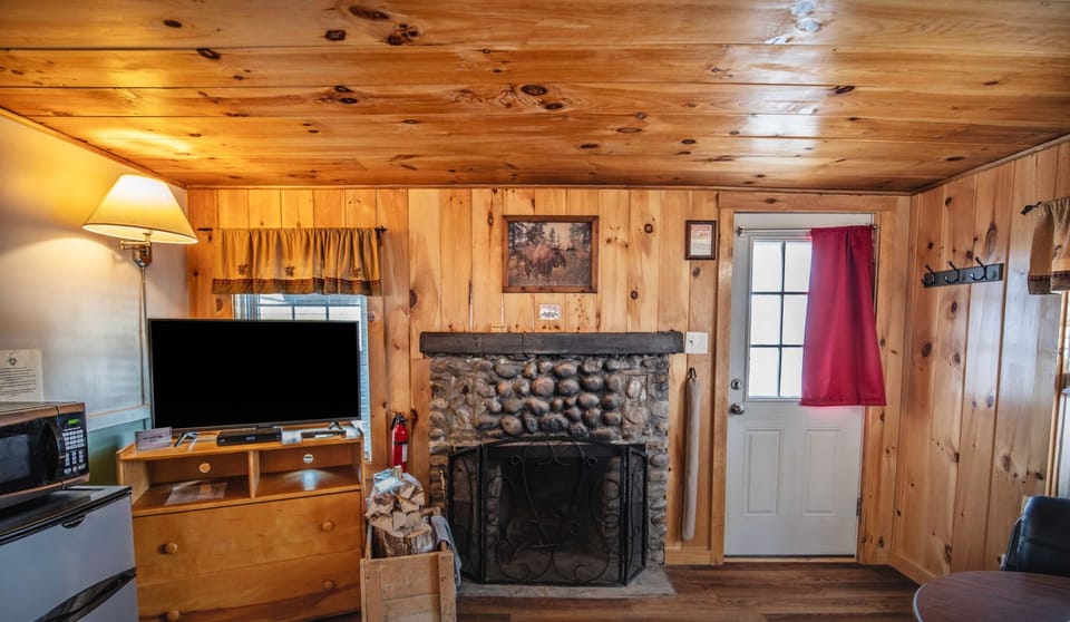 cabin2010