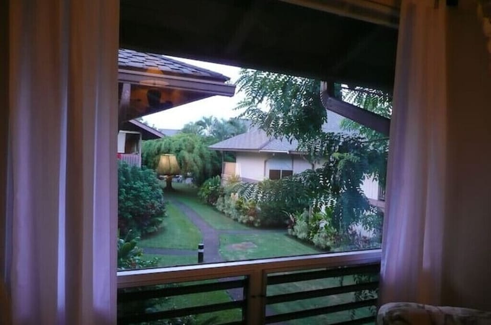 View out window.