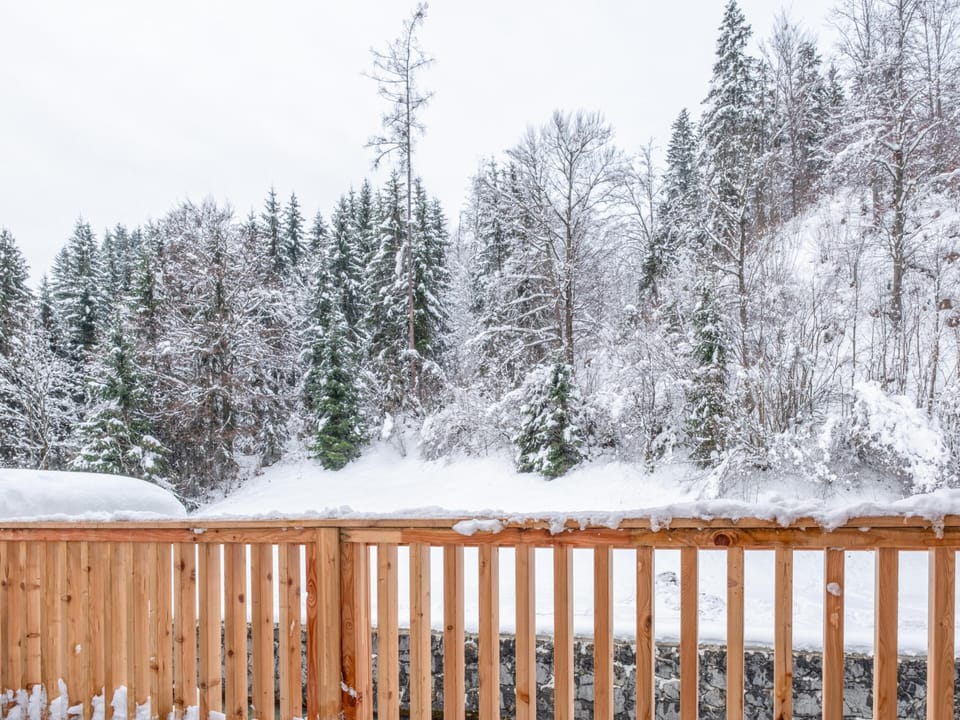 View from Holiday Home [winter]