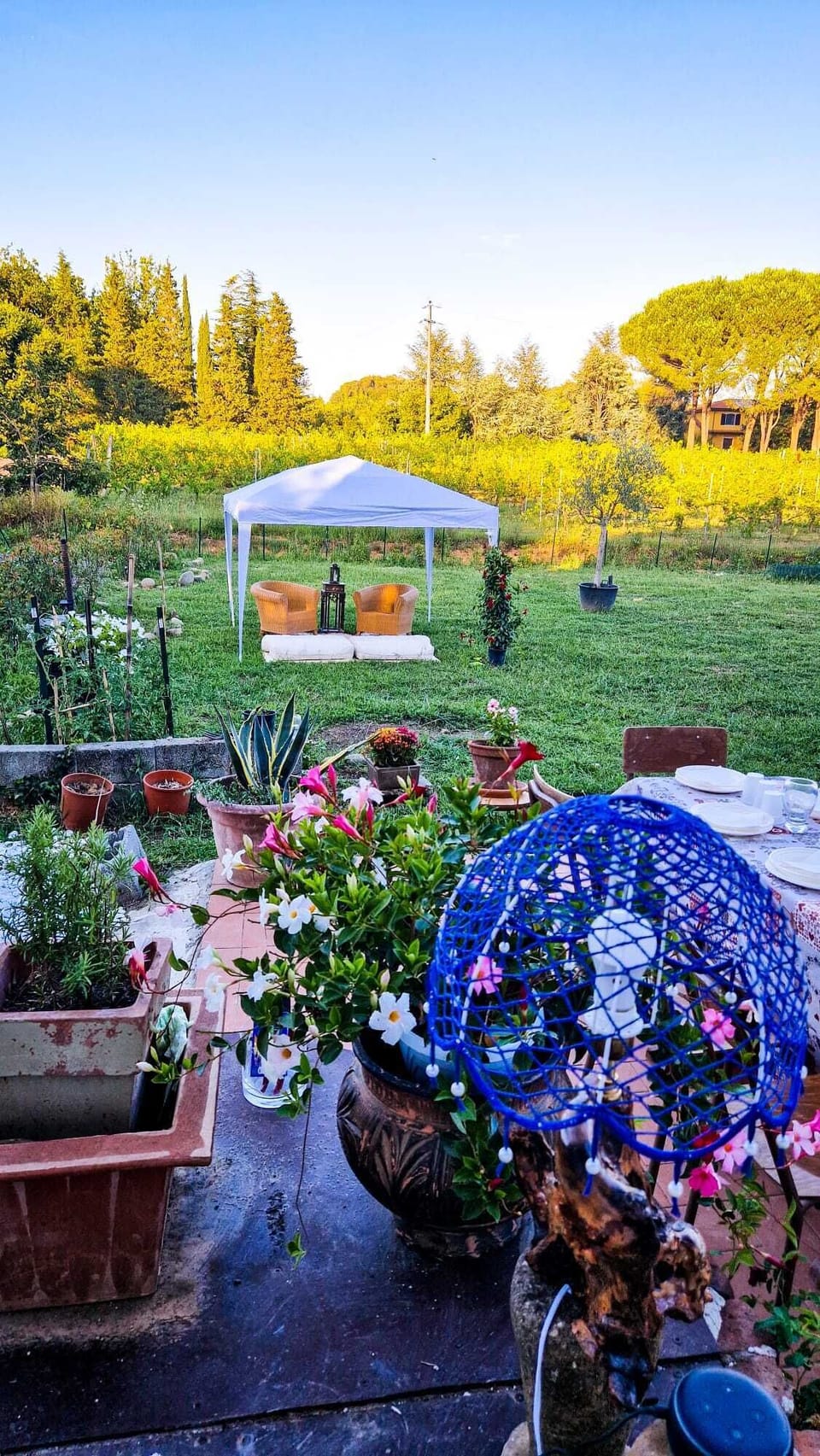 Terrace/patio