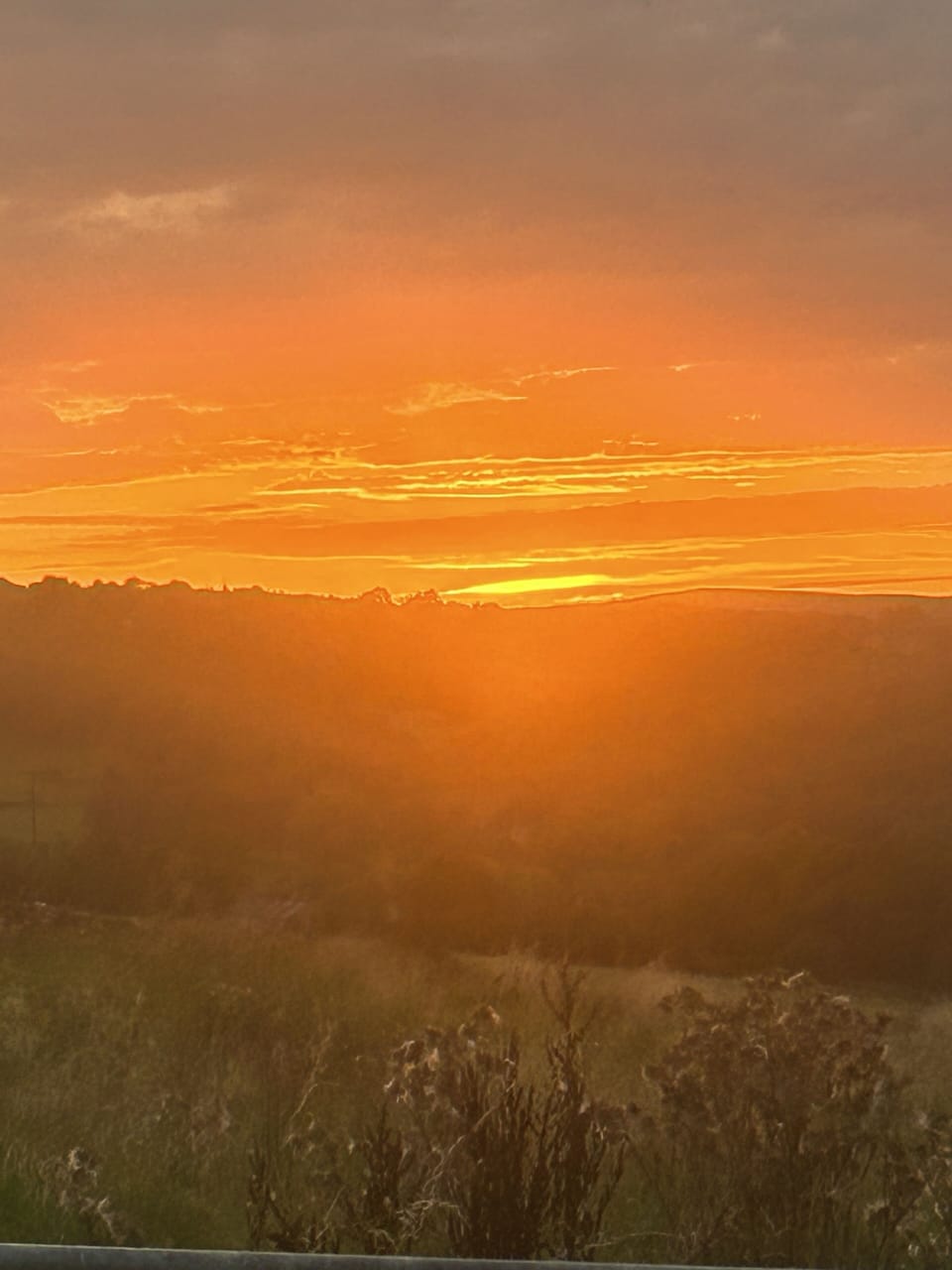 Image 16