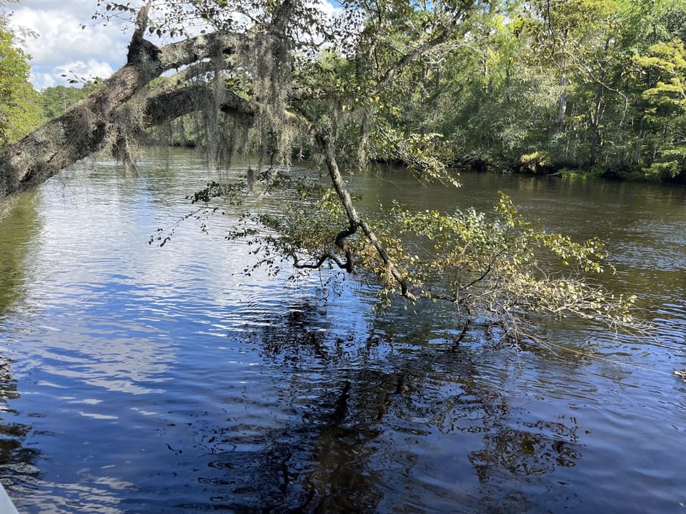 View from the dock