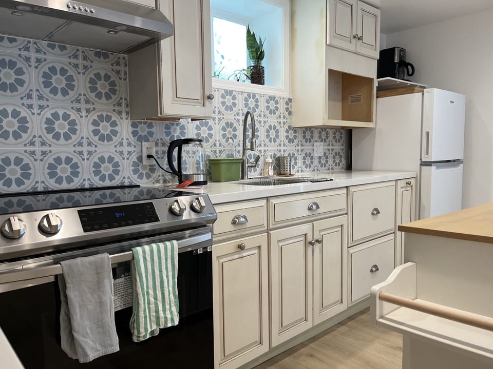 Induction Stove and fan