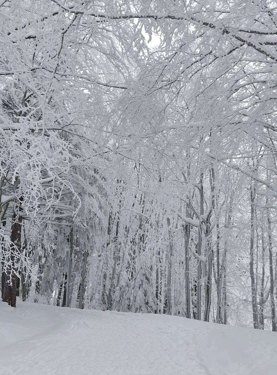 Snow and ski sports