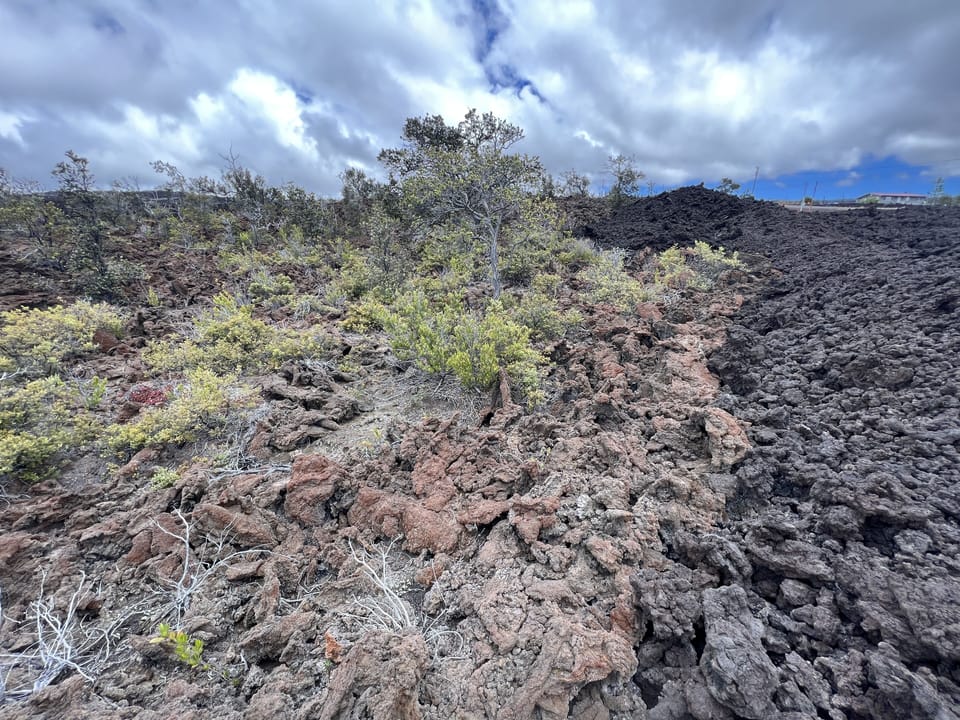 On property there is a lot of lava rock:  a'a' lava & pahoehoe lava
