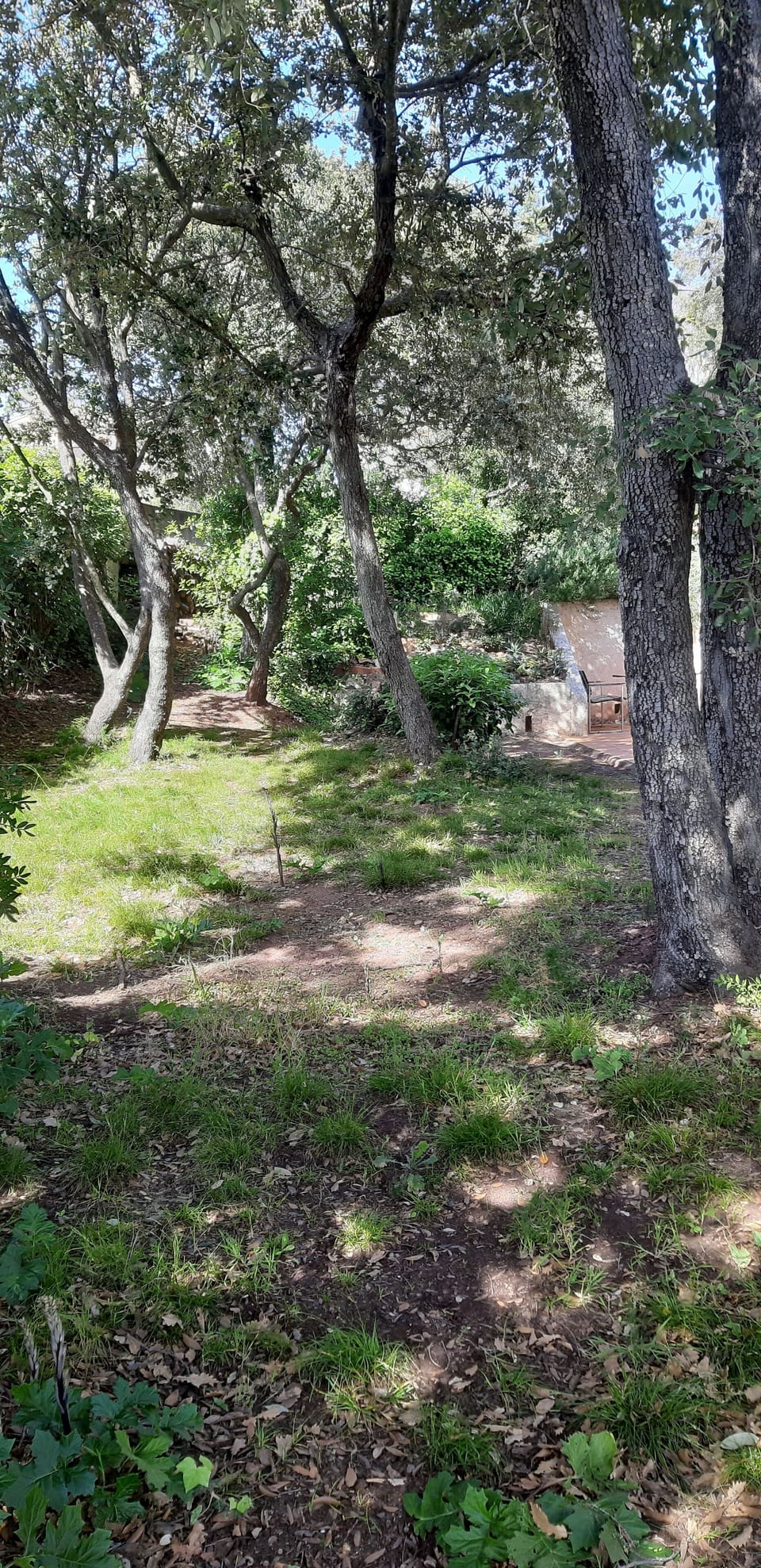 Property grounds