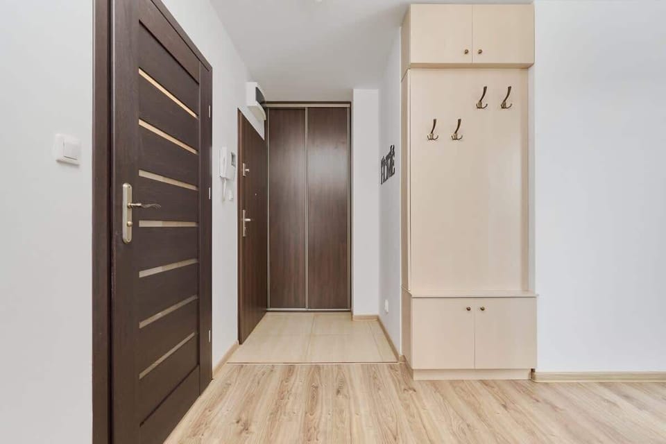 A hallway featuring wooden flooring, a wardrobe, and dark wooden doors, designed with a minimalist aesthetic.
