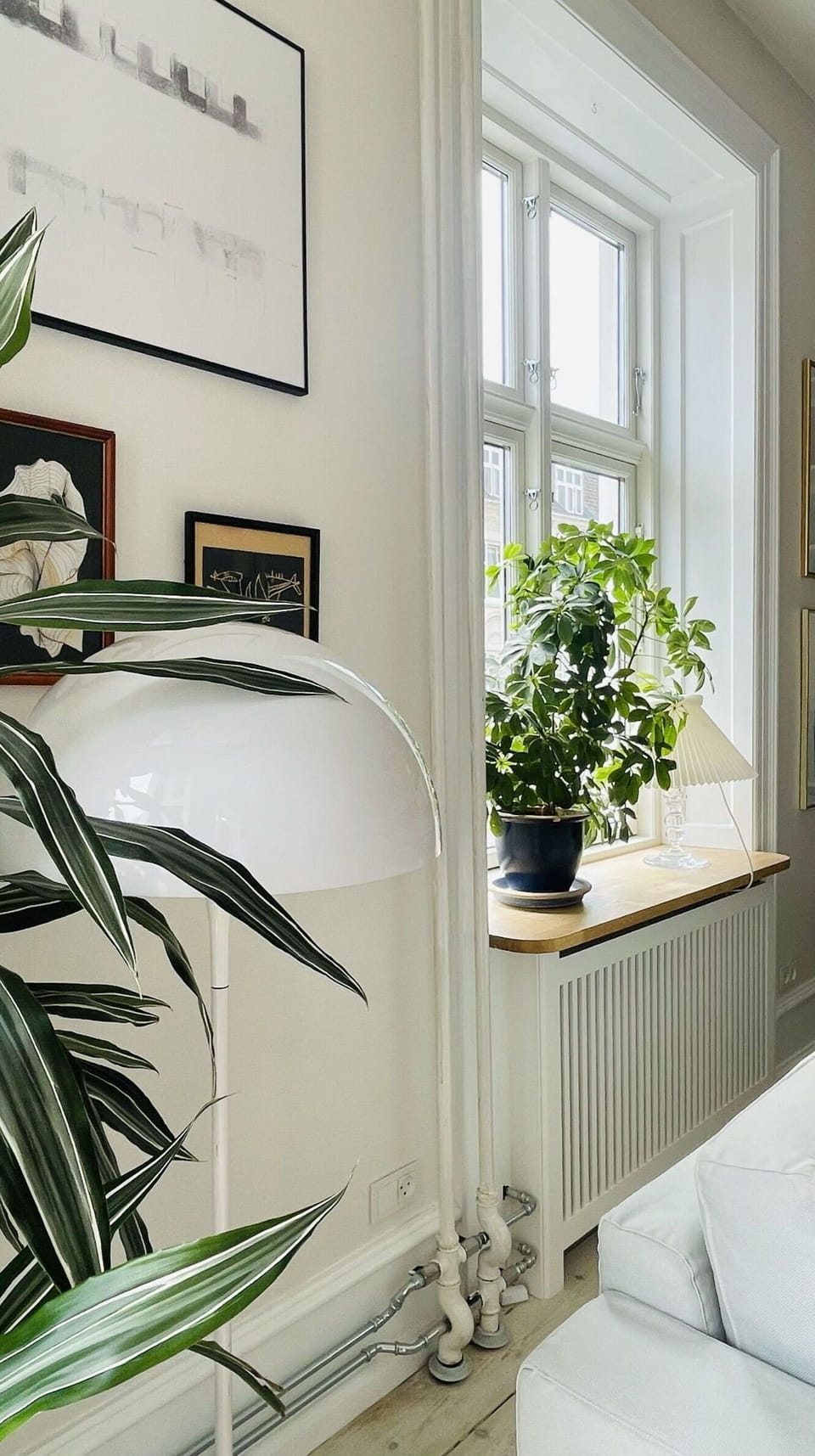 Room Detail