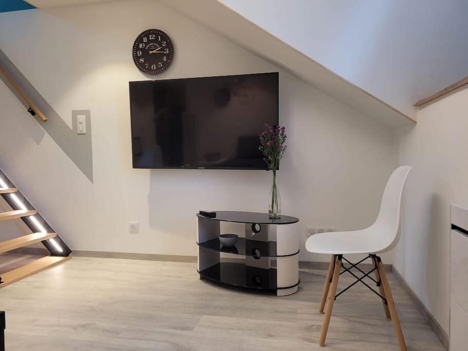 Large screen TV