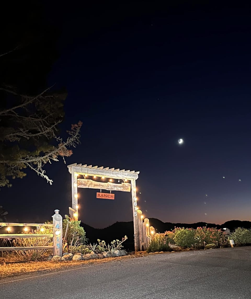 Image picker BE3DCC56 B4F3 4B4D 9373 C1422A2B65AF 19632 00000458912FC7C8