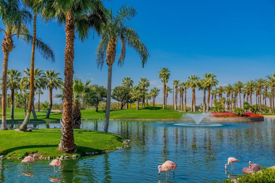 We have Flamingos in the Desert!