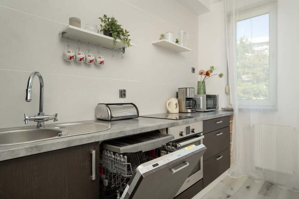 A closer view of the kitchen, emphasizing the countertop, wall-mounted shelves, and natural light from the window.

