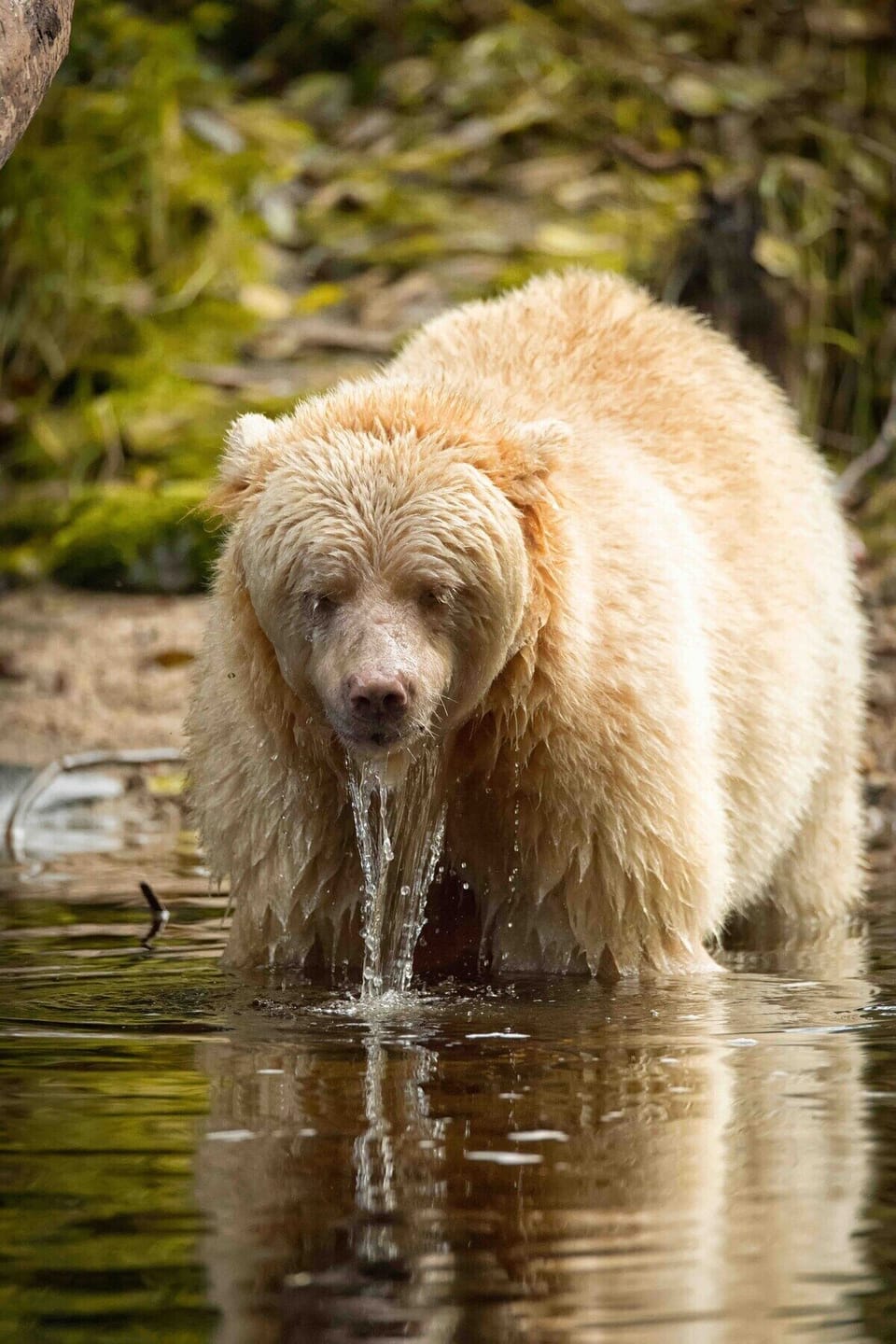 Having a nice face wash to start the day. 