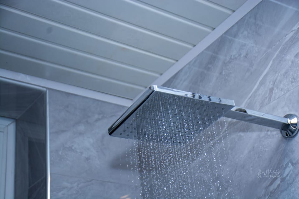 Hand-held showerhead